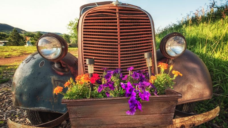 The Old Flower Truck